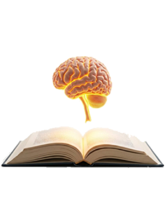 Educación