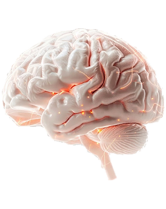 Fibromialgia