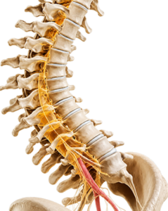 Osteoporosis