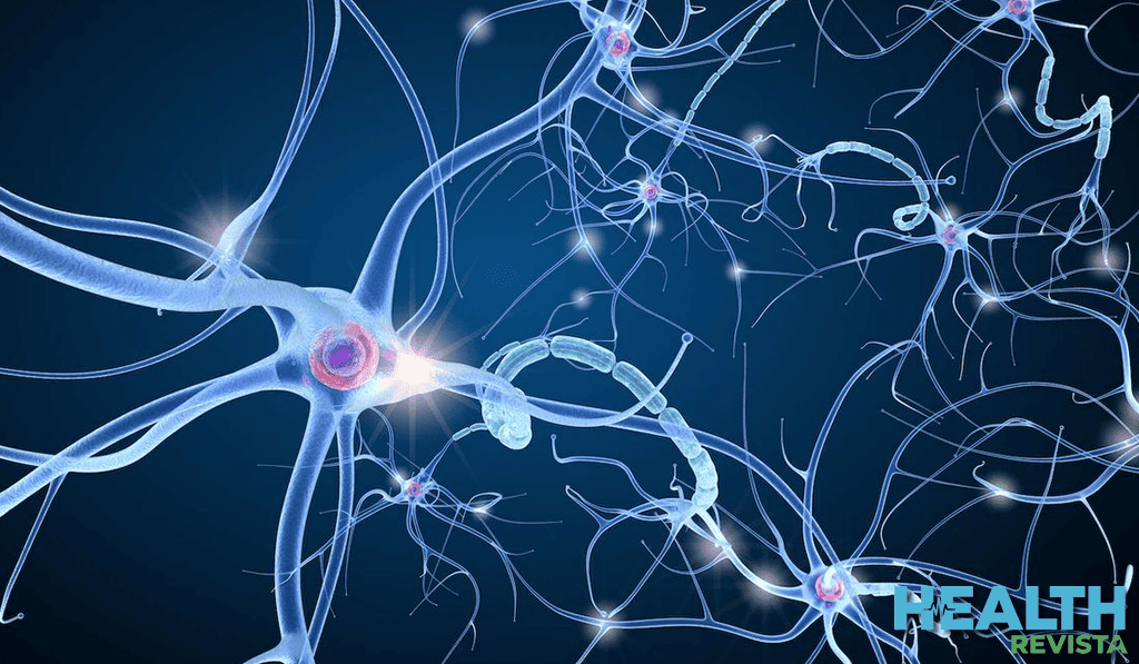 Fallo energético, excitotoxicidad y edema citotóxico: La secuencia molecular de la muerte neuronal en el ACV isquémico